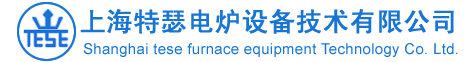 上海特瑟电炉设备技术有限公司